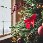 Comment choisir un sapin de Noël pour le nouvel an