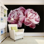 Papier peint pivoines à l'intérieur