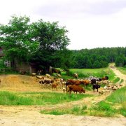 Fond d'écran photo de paysages de village: comment choisir le bon