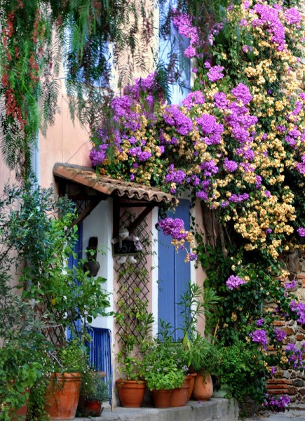 Les plantes dans le cadre d'une décoration de façade