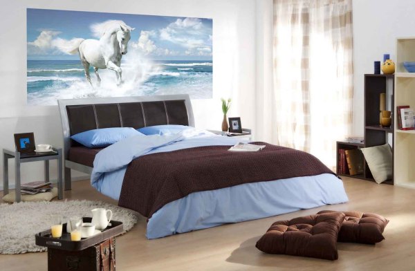 Cheval sur le fond de la mer à l'intérieur de la chambre