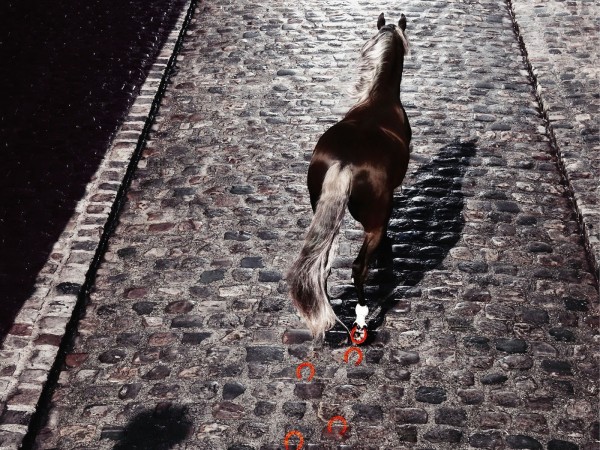 Cheval solitaire sur un pont de ville pavé