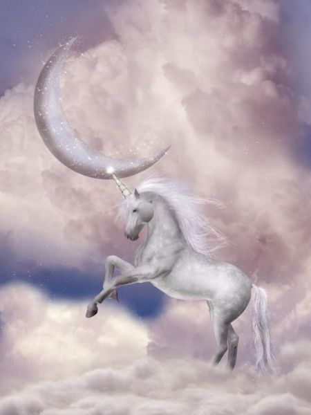 Licorne de conte de fées sur un fond de nuages ​​et un jeune mois