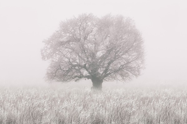 Motif atmosphérique en noir et blanc.