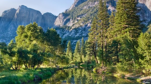 Forêt sur fond de hautes montagnes enneigées