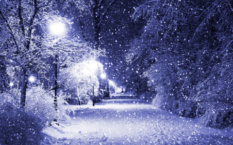 La neige parle toujours de la nouvelle année qui approche.