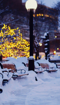 Parc d'hiver à la veille du nouvel an